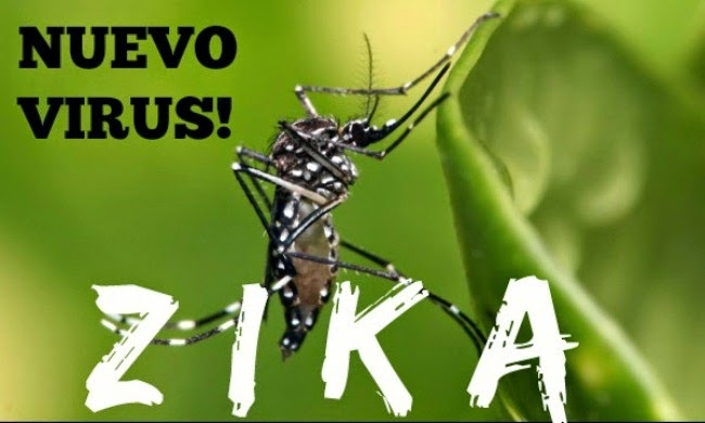 nuevo virus zika