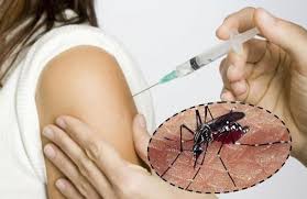 vacuna__contra_dengue.jpg