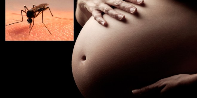 Al-estar-contagiadas-de-zika-dos-mujeres-estadounidenses-decidieron-abortar.jpg