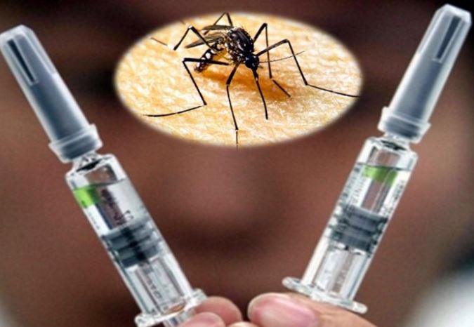 dengue-vacuna.jpg