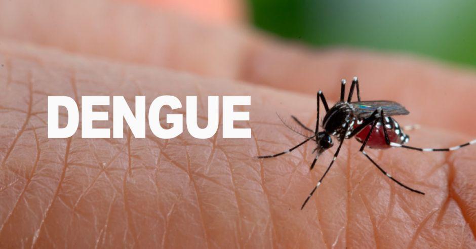 20190626110328.dengue.jpg