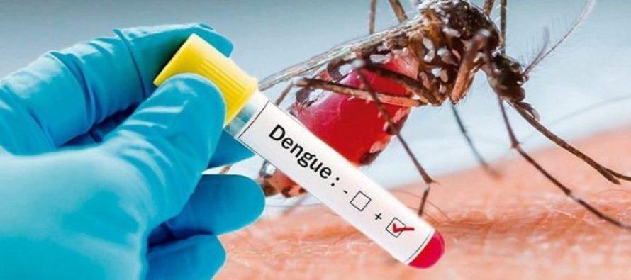 Dengue-890x395_c.jpg