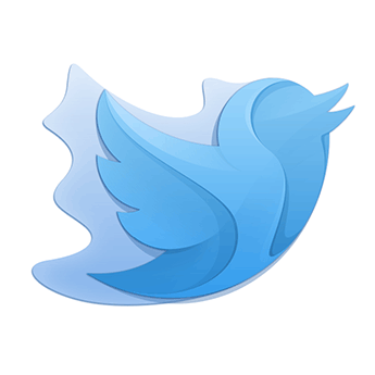 twitter-custom-logo.png