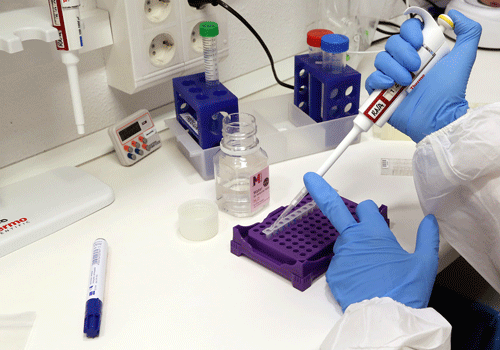 PCR-UMA-IBIMA.gif