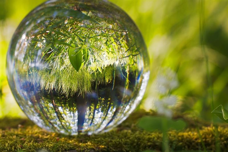 bola-medio-ambiente.jpg