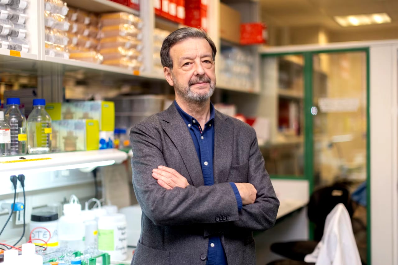 Luis Álvarez-Vallina, jefe de la Unidad de Investigación Clínica en Inmunoterapia del Cáncer H12O-CNIO