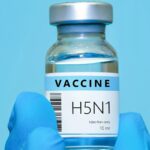 Lanzan nueva iniciativa para avanzar en el desarrollo de vacunas de ARNm