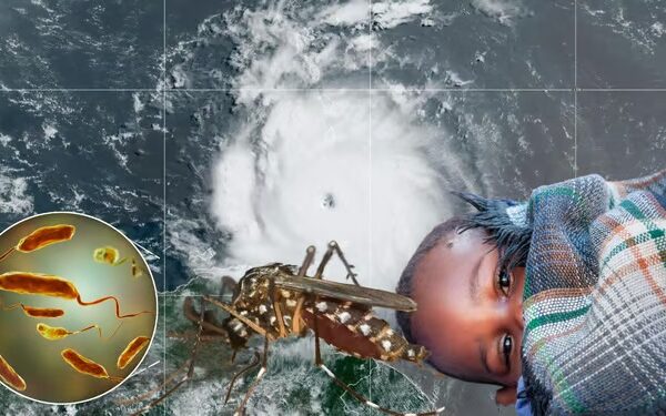 el huracán Beryl