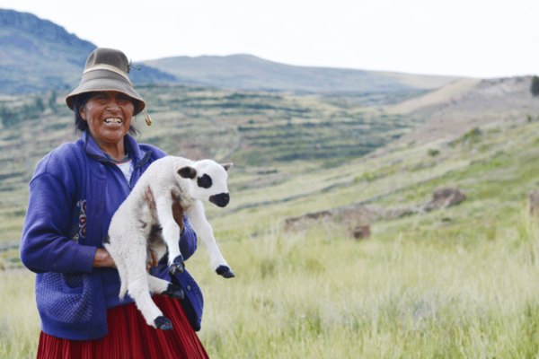 Salud animal también salva vidas humanas, Día Mundial de las Zoonosis 